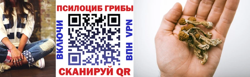 Галлюциногенные грибы Psilocybe  что такое наркотик  Апшеронск 
